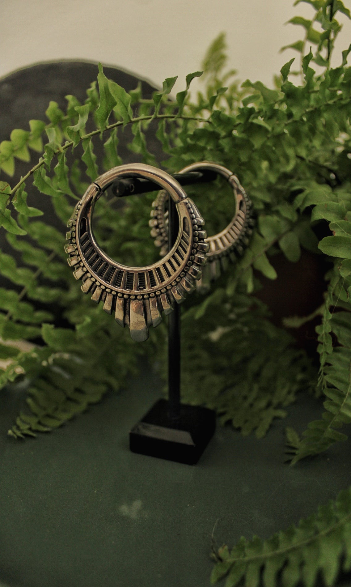 Poids d’oreilles solarium (paire)