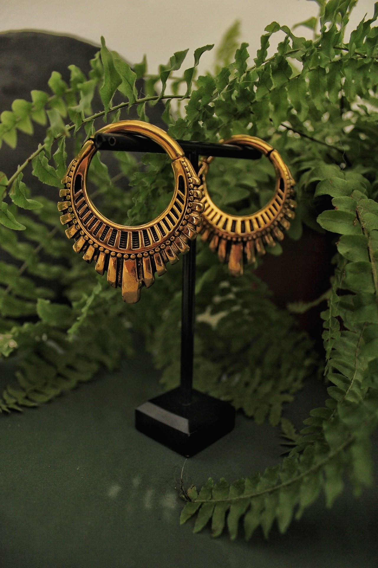 Poids d’oreilles solarium (paire)